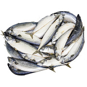 Скумбрия неразделанная 300-600г блочной заморозки ГОСТ, коробка (20-25кг)
