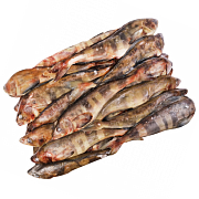 Терпуг неразделанный с головой блочной заморозки ГОСТ, пласт (17-19кг)