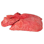 Легкое говяжье замороженное ГОСТ, упаковка (1.2-1.8кг)