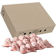 Головы цыплят-бройлеров замороженные, коробка 12-16кг